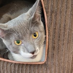 Meet your Posher, Ben